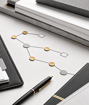 Customized Financial Reports